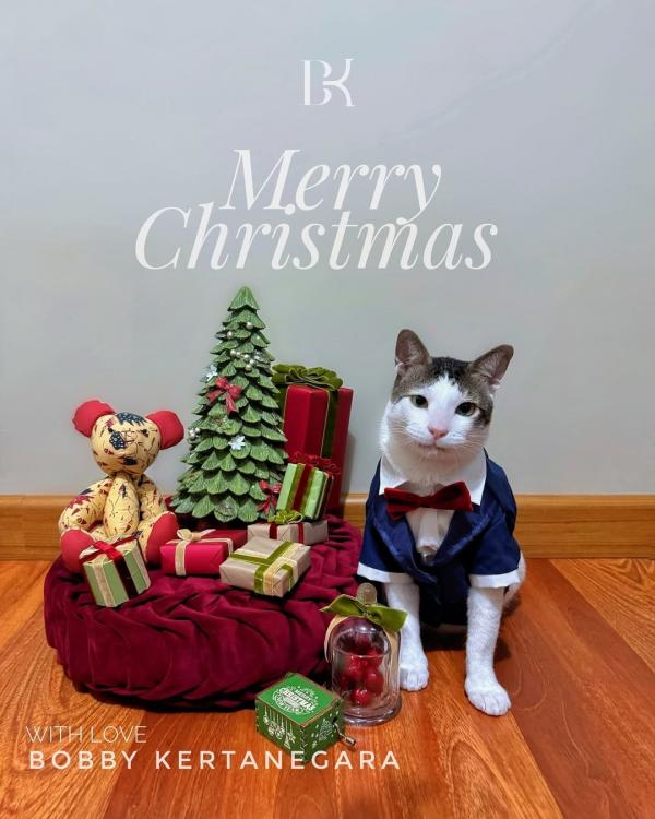Bobby Ramaikan Natal Bobby Kertanegara ramaikan Natal 2024. (Foto: Instagram)