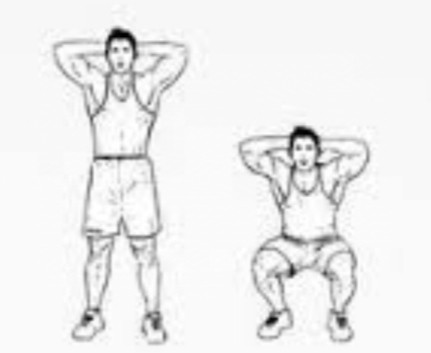 Squats