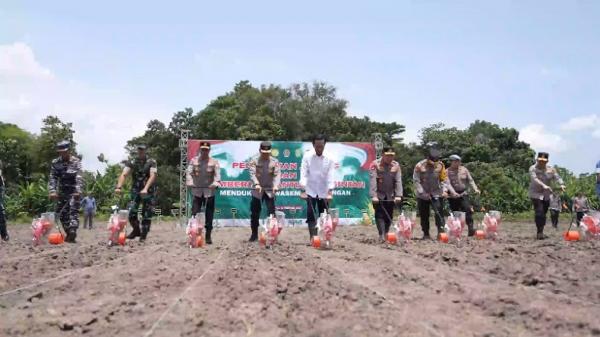 Kapolri tanam jagung Kapolri Jenderal Listyo Sigit Prabowo saat menanam jagung untuk memperkuat ketahanan pangan di Kabupaten Bantul, DI Yogyakarta, Sabtu (15/2/2025). (Foto: ist)
