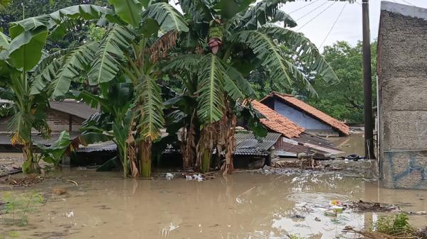 Rumah Warga di Bekasi Timur Terendam Banjir Rumah warga di Kampung Teluk Angsan Lengkak, RT 4 RW 8, Bekasi Jaya, Bekasi Timur, Kota Bekasi, terendam banjir. (Foto: Nur Khabibi)