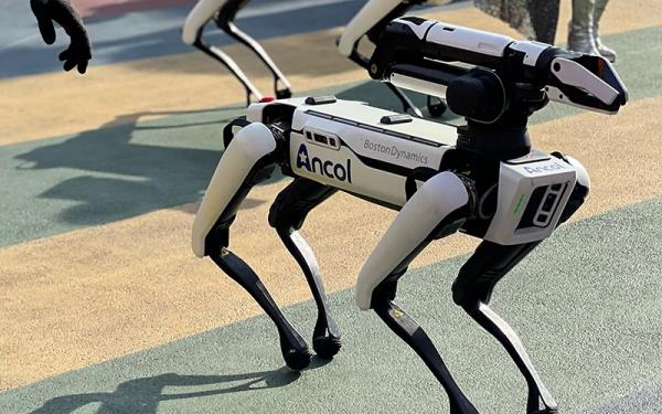 Ancol Robot Flippy (Foto: dok Ancol)