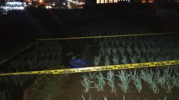 TKP penemuan mortir di Ciwidey TKP mortir ditemukan di perkebunan stroberi milik warga di Desa Lebak Muncang, Kecamatan Ciwidey, Kabupaten Bandung, (Foto: Istimewa).