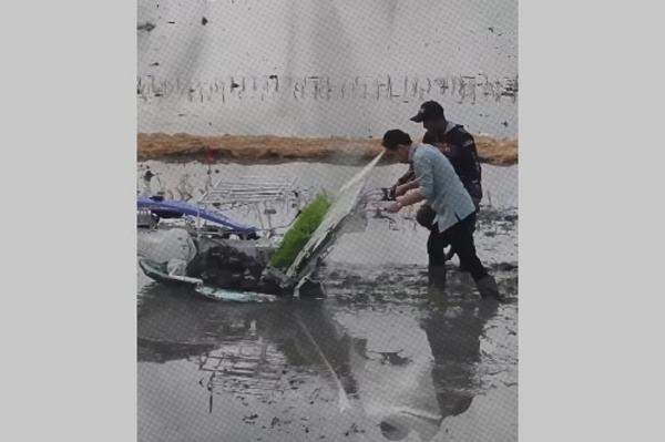 Viral Momen Gibran Turun ke Sawah Tanam Padi di Ngawi, Cara Jalannya Jadi Sorotan