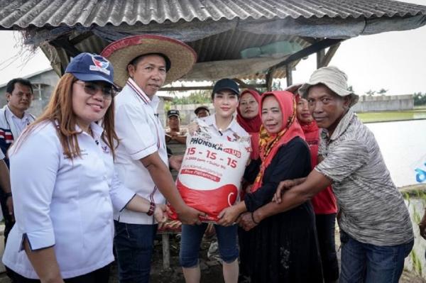 Ketua Umum Partai Perindo Angela Tanoesoedibjo membantu pupuk petani Deliserdang dan turun langsung ke sawah. (Foto: Ist)