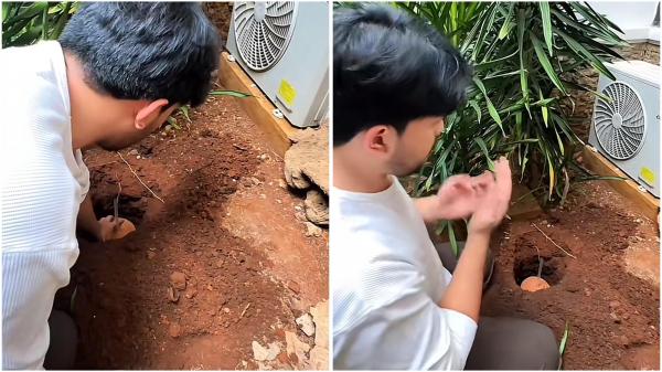 Momen Thariq Halilintar mengubur ari-ari anak pertamanya di pekarangan rumah. (Foto: TikTok)
