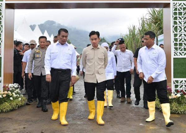Panen Raya Tebu di Banyuwangi, Wapres Gibran Targetkan Swasembada Gula di 2027