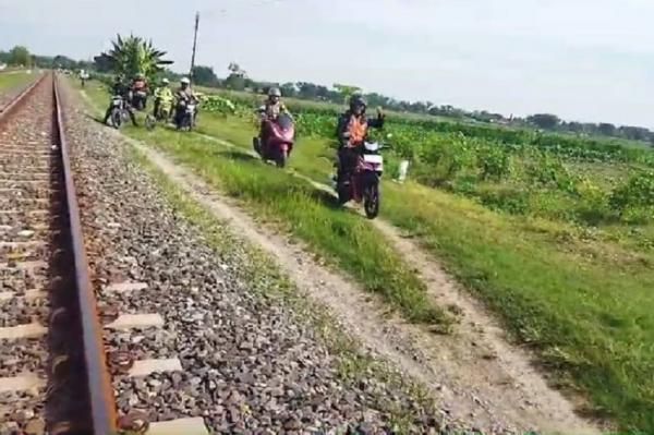 Ratusan Sapi Mati Tertabrak Kereta di Sumut, KAI Minta Warga Tak Biarkan Ternak Berkeliaran