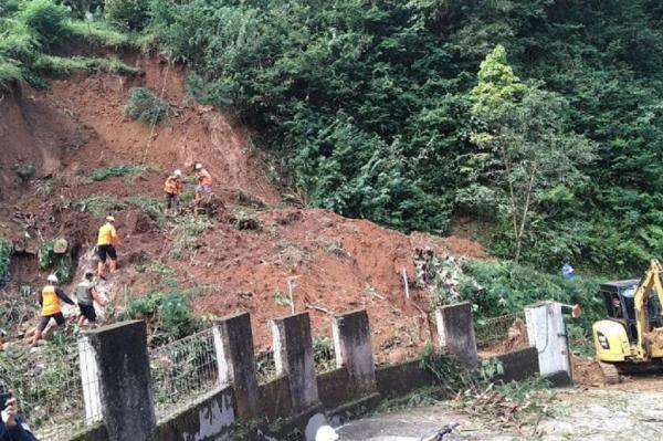 BNPB Catat Dominasi Bencana di Sejumlah Wilayah RI: Karhutla hingga Longsor