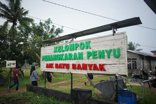 Penangkaran Penyu Penangkaran Penyu