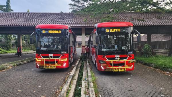 Trans Banyumas Bus Trans Banyumas. (Foto: Iqbal Dwi Purnama)