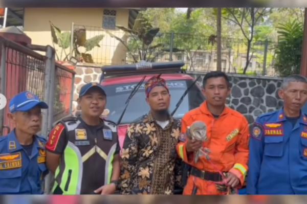 Damkar Kabupaten Cianjur Berhasil Selamatkan Burun Damkar Kabupaten Cianjur Berhasil Selamatkan Burung Hantu