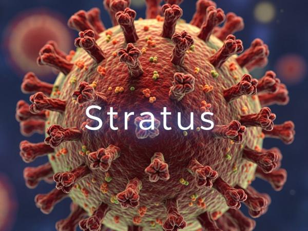 Covid-19 Stratus Varian baru Covid-19 Stratus menyerang Indonesia. (Foto: Ilustrasi AI)