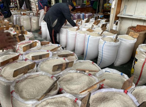 Mentan Amran Yakin Swasembada Pangan Berlanjut Tahun Ini, Peluang di Atas 90 Persen