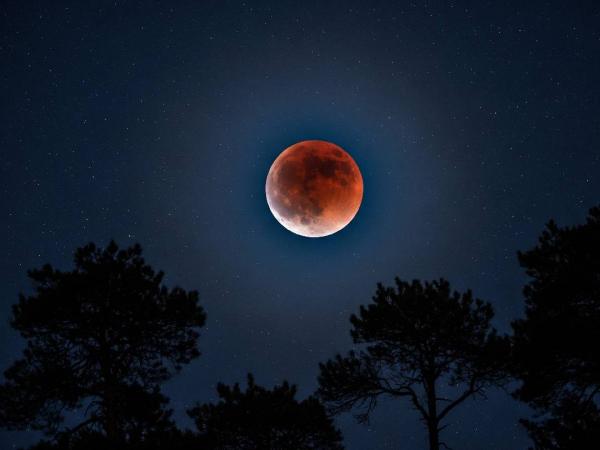 Blood Moon Gerhana bulan total atau blood moon akan terjadi di seluruh wilayah Indonesia pada 7-8 September 2025. (Foto: Ilustrasi AI)