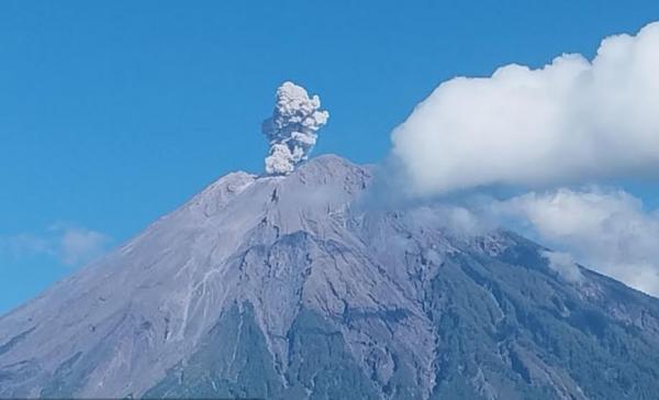Gunung Semeru Meletus Hari Ini Semburkan Abu Vulkanik 700 Meter, Status ...
