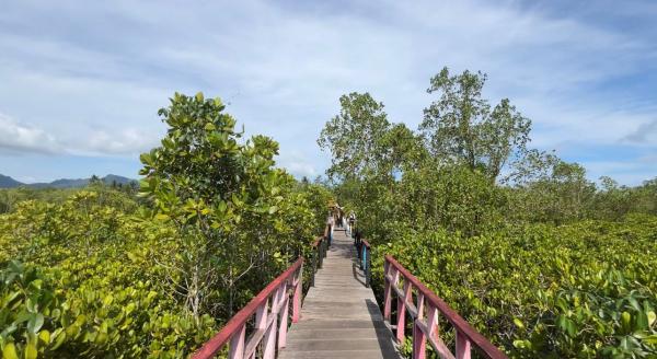 Hutan Mangrove di Trenggalek Hutan Mangrove di Trenggalek, Jawa Timur. (Foto: Annastasya Rizqa)