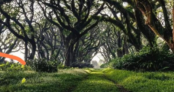 5 Destinasi Wisata di Banyuwang, Liburan Murah Tidak Bikin Kantong Jebol