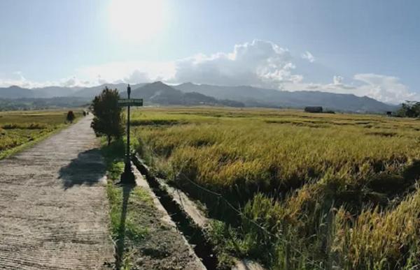 Tempat Nongkrong di Kulonprogo Geblek Menoreh View. (Foto: Awan Kinton/Google Photos)