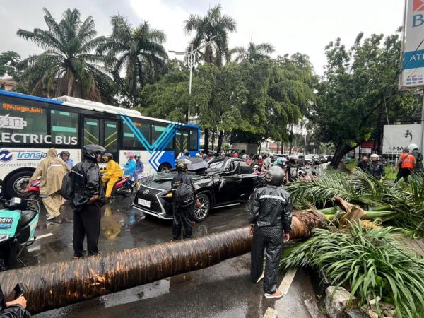 Pohon tumbang timpa mobil Lexus ringsek di Pondok Pohon tumbang timpa mobil Lexus ringsek di Pondok Indah pada Minggu (26/10/2025). (Foto: iNews.id/Yudistiro)