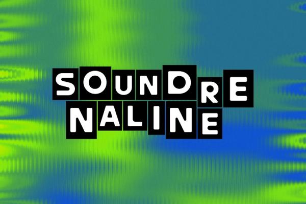 (Foto: dok Soundrenaline)