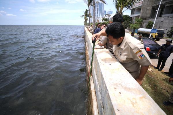 Petugas Pemprov Jakarta mengecek kondisi tanggul Pantai Mutiara (dok. Pemprov Jakarta)