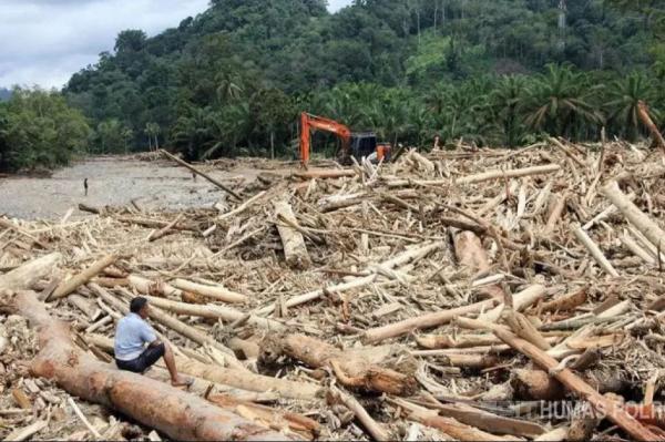 Bareskrim Polri Tingkatkan Status Kasus Kayu Gelondongan Terseret Banjir Sumatra ke Penyidikan
