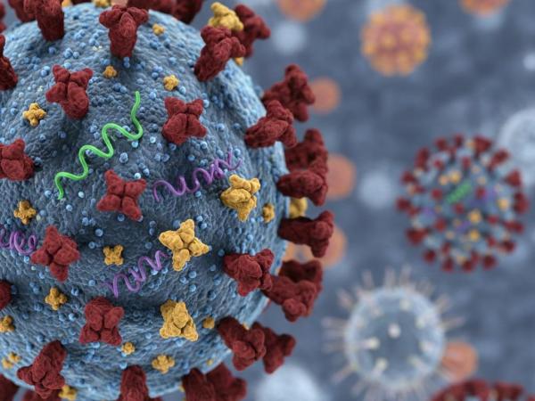 Kasus Influenza A (H3N2) Subclade K Tersebar di 20 Provinsi, DKI Jakarta Tertinggi!