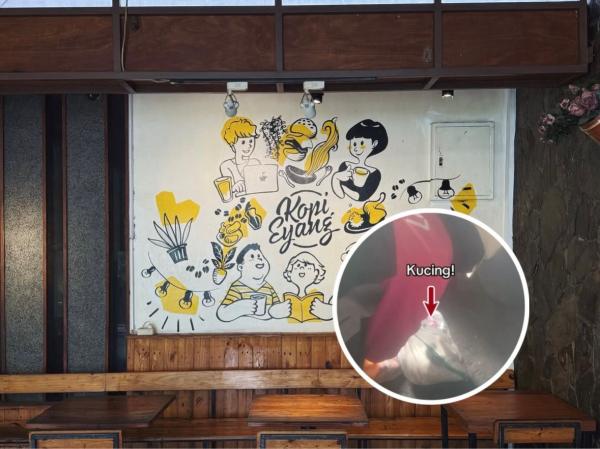 Kafe Eyang Ciumbuleuit Bandung melakukan penyiksaan terhadap kucing. (Foto: Instagram)