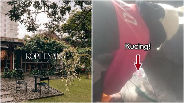 Kopi Eyang yang viral Alasan Kopi Eyang membuang kucing hidup-hidup akhirnya terungkap. (Foto: Instagram)
