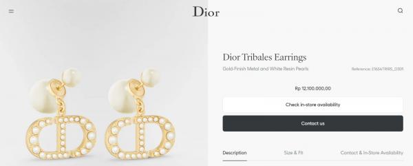 Anting Inul Anting yang dipakai Inul di Lebaran 2026. (Foto: Dior)