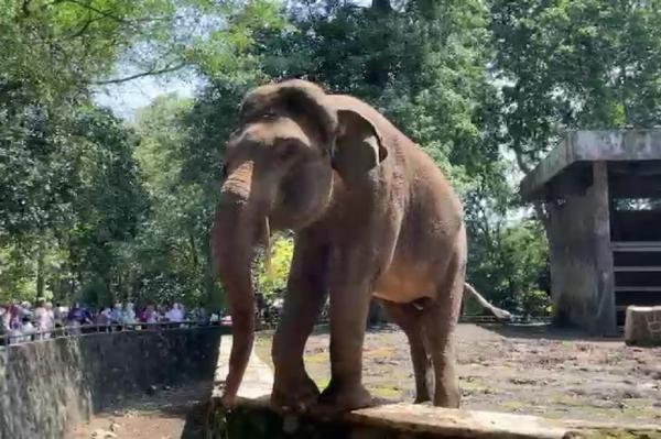 Libur Tahun Baru Islam, Taman Margasatwa Ragunan Diserbu 25.675 Pengunjung