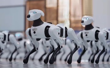 Robot Argos X1