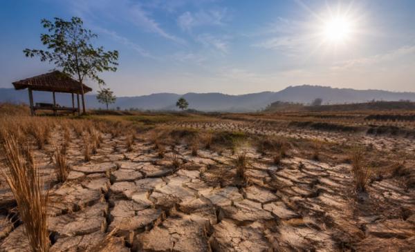 BMKG: 48,9 Persen Wilayah Indonesia Masuk Musim Kemarau, Puncak Juli-September 2026