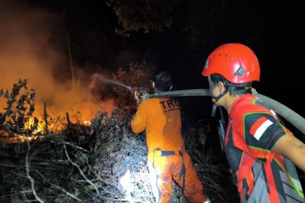 BNPB Deteksi 61 Titik Panas di IKN dan Kaltim, 400 Hektare Lahan Terbakar