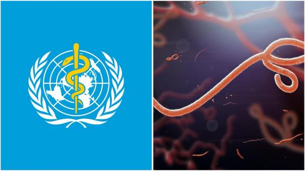 Wabah Ebola di Kongo jadi perhatian utama WHO sekarang. (Foto: X)