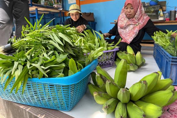 KWT Mawar 8 3 Hasil panen kebun yang dikelola KWT Mawar 8. (Foto: Rizky Agustian)