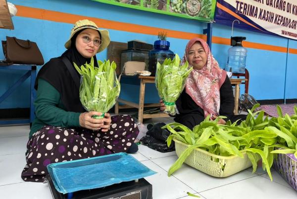 KWT Mawar 8 7 Hasil panen kebun hidroponik binaan KWT Mawar 8 Porisgaga Baru, Batuceper, Kota Tangerang, yang dijual kepada masyarakat sekitar dengan harga di bawah pasar. (Foto: Rizky Agustian)