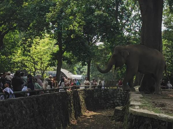 Suasana Ragunan Suasana Ragunan yang menjadi magnet liburan warga Jabodetabek. (Foto: Instagram)