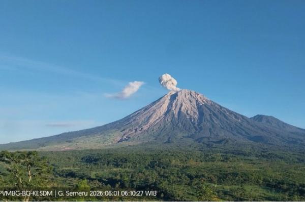 Gunung Semeru Erupsi Pagi Ini, Kolom Abu Membubung 800 Meter dari Puncak