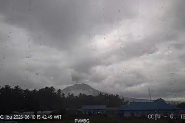 Gunung Ibu Erupsi Setinggi 500 Meter, Warga Diminta Jauhi Kawah