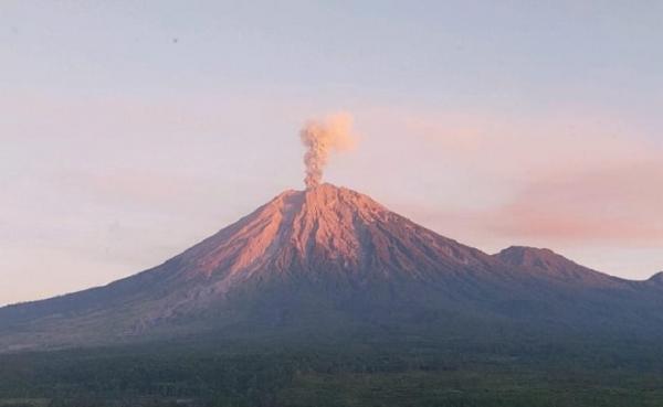 Gunung Semeru Erupsi Pagi Ini, Semburkan Abu Vulkanik Setinggi 1.200 Meter
