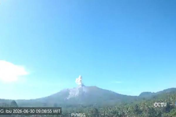 Gunung Ibu Erupsi Pagi Ini, Kolom Abu Capai Ketinggian 500 Meter