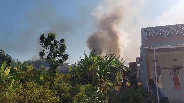 Kebakaran Lahan di Cirebon Nyaris Merembet ke Permukiman dan Pabrik, Warga Panik