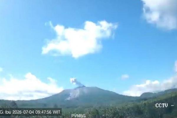 Gunung Ibu Meletus Pagi Ini, Kolom Abu Capai 400 Meter dari Puncak