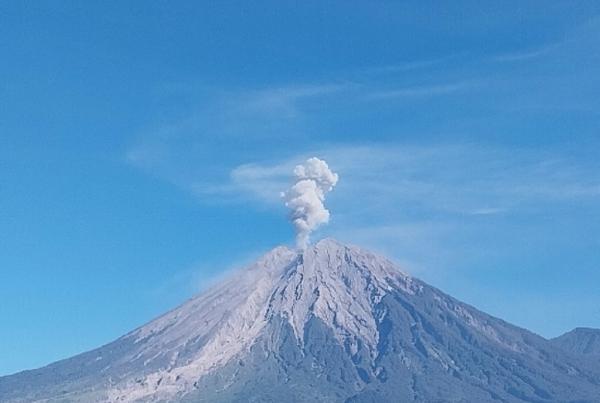 Gunung Semeru Erupsi Pagi Ini, Kolom Abu Setinggi 1 Km
