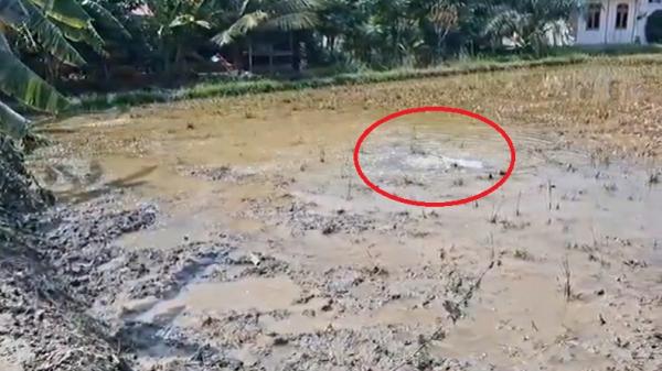 Gelembung Gas Muncul Pascasemburan Lumpur di Aceh Timur, Warga Masih Mengungsi