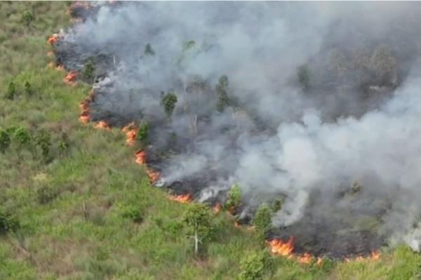 Karhutla Palangka Raya Meningkat, Helikopter BNPB Lakukan Water Bombing