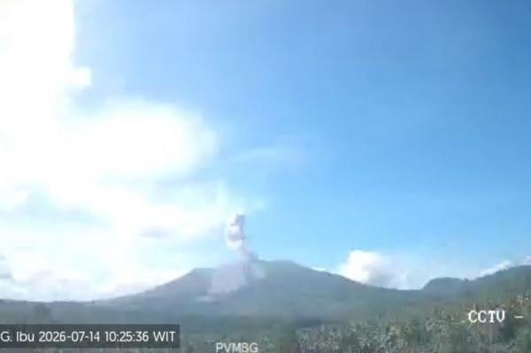 Gunung Ibu Meletus Hari Ini, Semburkan Kolom Abu Setinggi 500 Meter ke Langit
