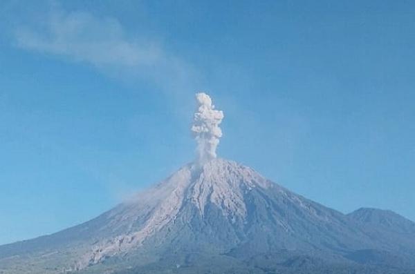 Gunung Semeru Erupsi Pagi Ini, Semburkan Abu Vulkanik Setinggi 1,2 Km
