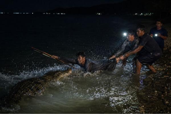 Nelayan Diserang Buaya saat Memanah Ikan di Pasangkayu, Selamat usai Melawan